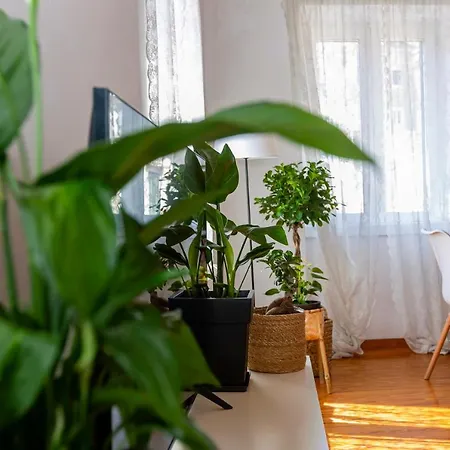 Artist Loft Appartement *