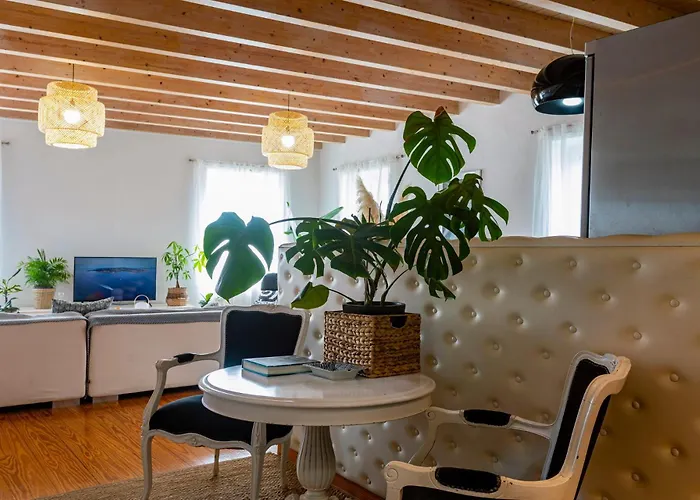 Appartement Artist Loft